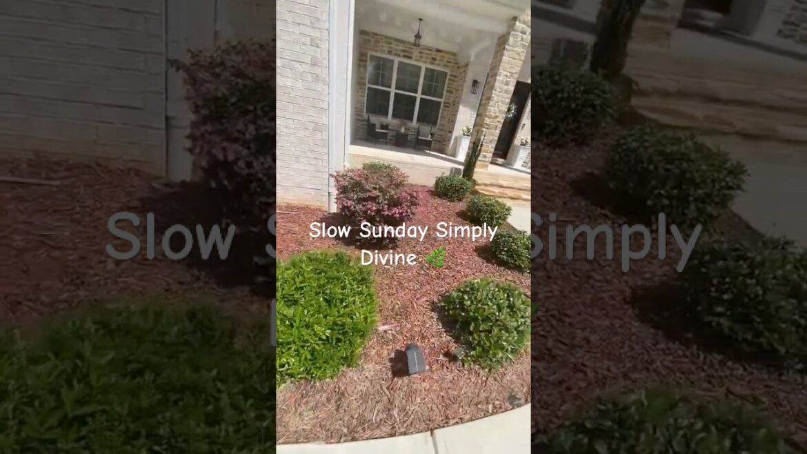 Slow Sunday Moments | Garden Harvest & Homegrown Peace 🌿✨