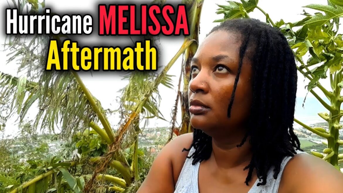 The AFTERMATH of Hurricane MELISSA On My Container Garden/ Our MAIN SOURCE OF FOOD