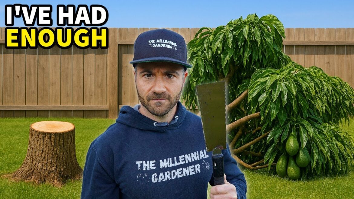 I've Had It: I'm FORCING This Stupid Tree To Fruit!!!