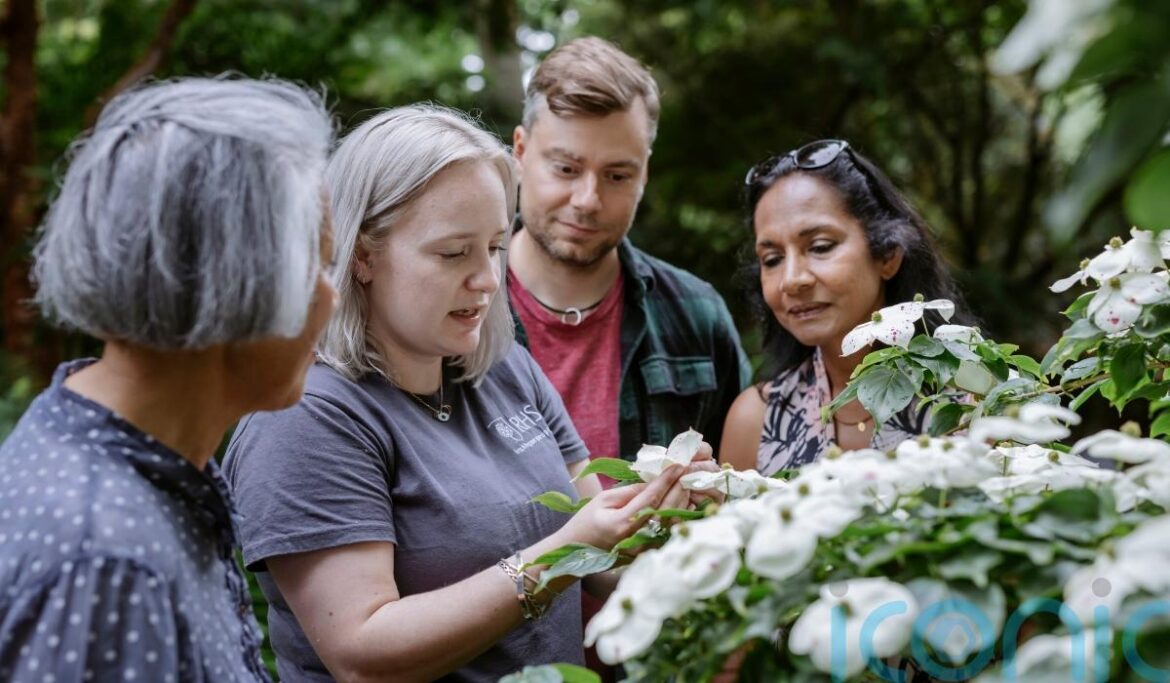 Gardening gifts with learning in mind