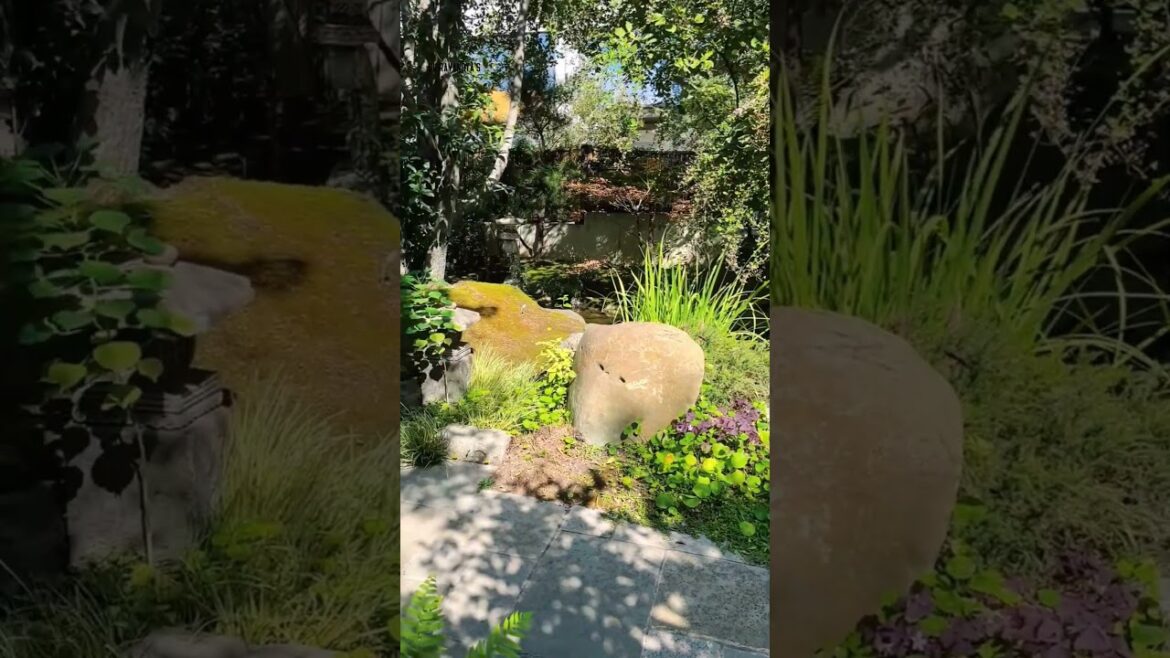Instant Zen Garden Vibe! Watch the Tranquility Unfold.