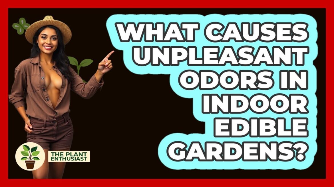 What Causes Unpleasant Odors In Indoor Edible Gardens? - The Plant Enthusiast