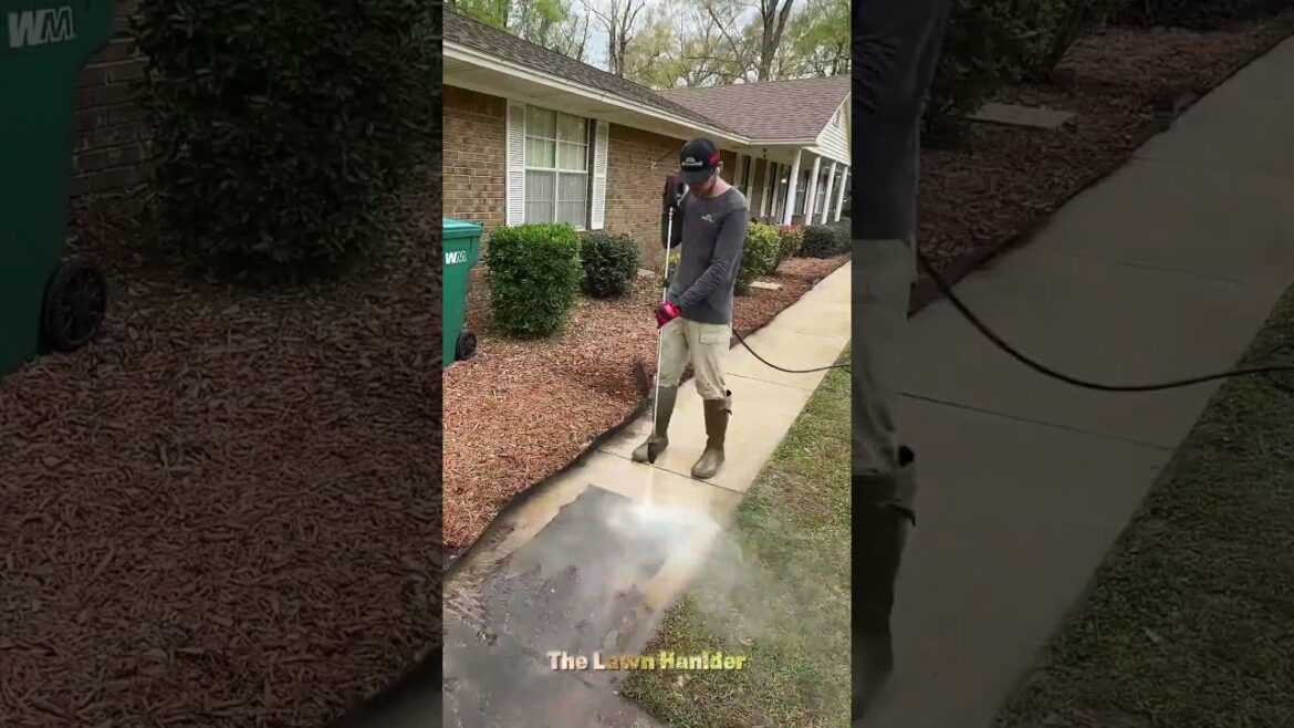 Pressure Washing | Grass Cutting Done 🌿 #shorts #satisfying #gardening