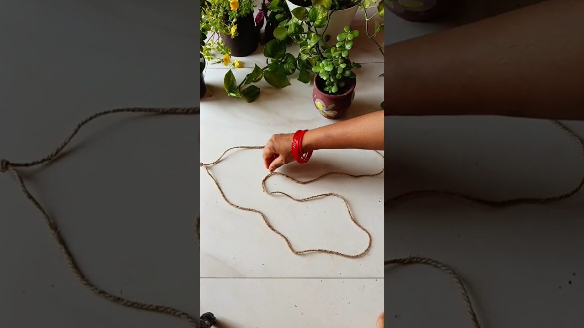 rope ideas 💡#shorts #diy #plants #garden #gardening  #trending #viralshort #shortsfeed