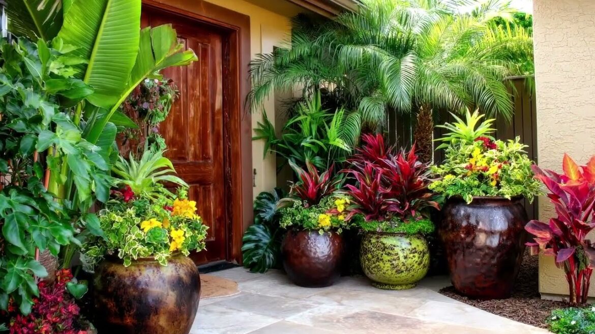 Tropical Front Yard Ideas 2025: Beautiful, Low-Cost, and Easy-Care Landscaping Tropical Front Yard Ideas 2025: Beautiful, Low-Cost, and Easy-Care Landscaping