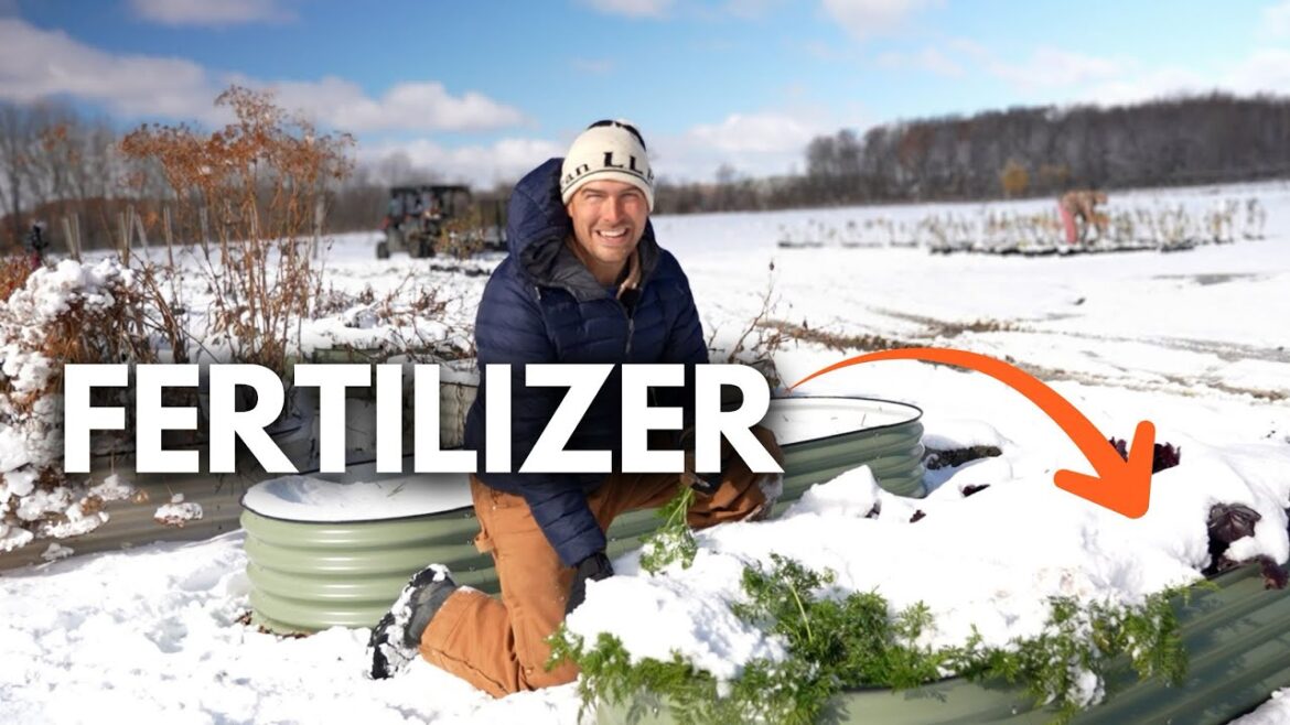 Don’t Believe These LIES About Winter in The Garden!