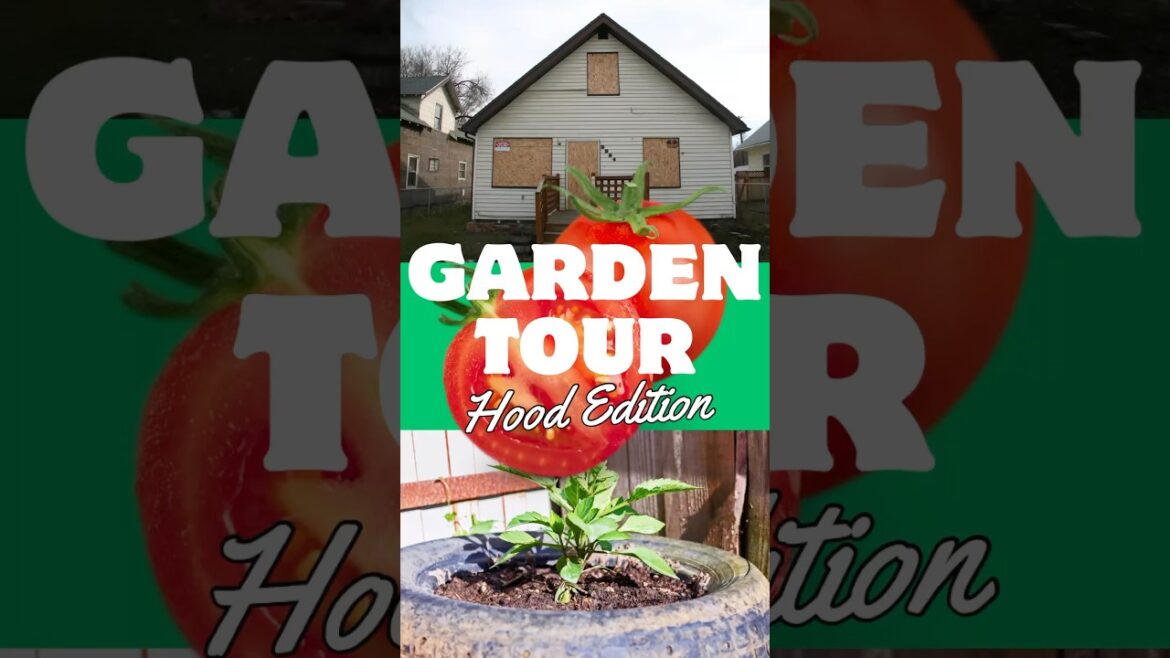 Is the CHEAPEST Garden Supply ACTUALLY CHEAP?