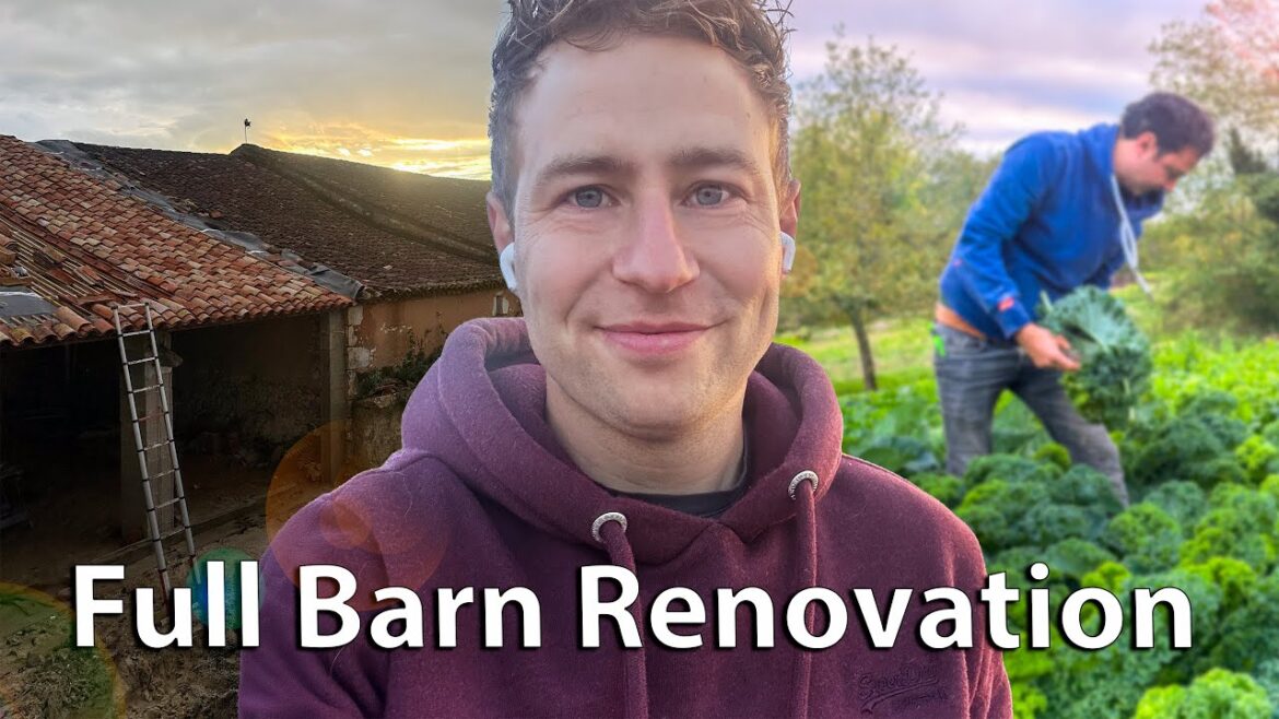 A Beautiful Mess | This Is Our Life in France