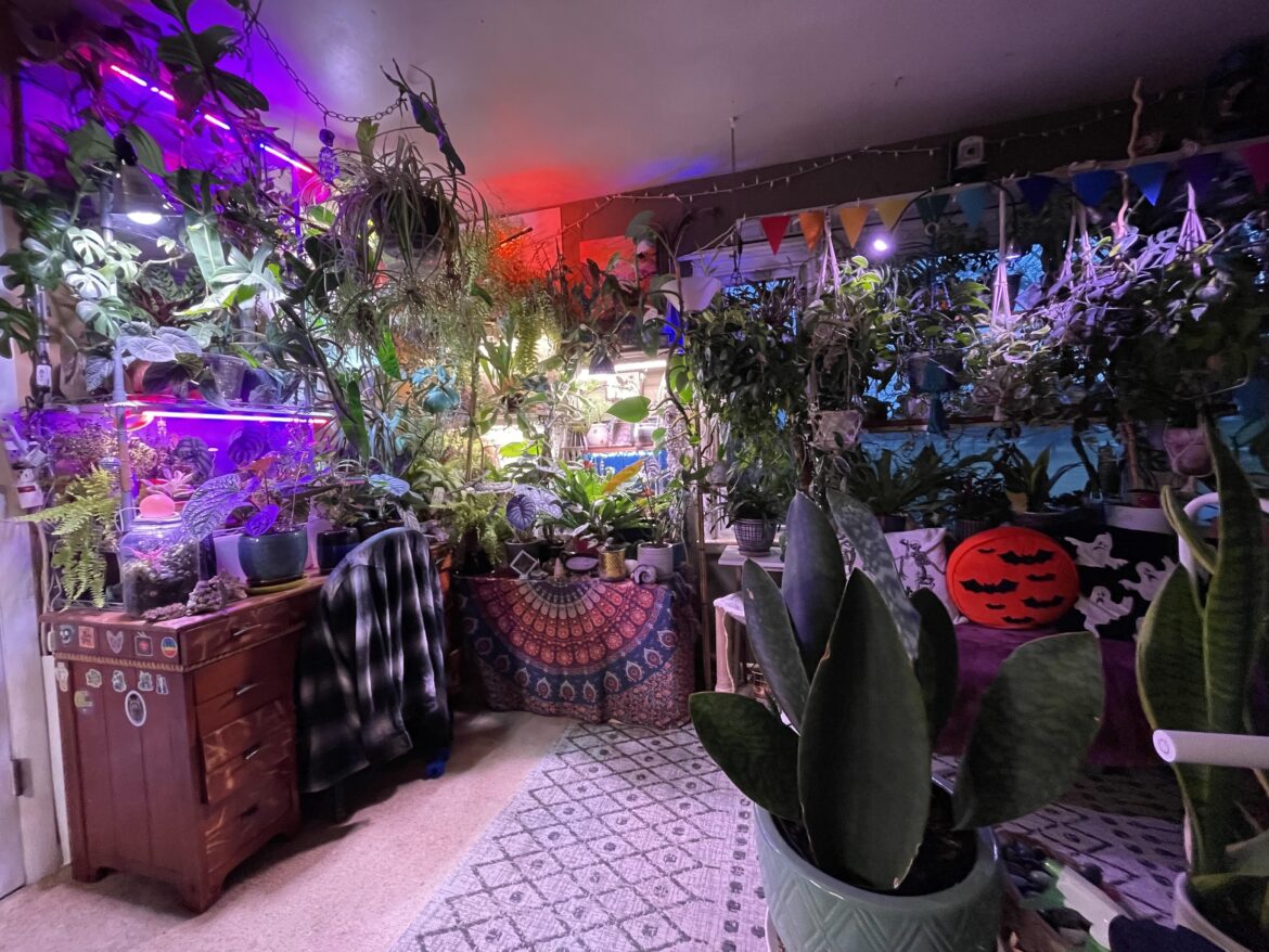 What’s something you wish you could go back and tell yourself at the beginning of your plant keeping journey?