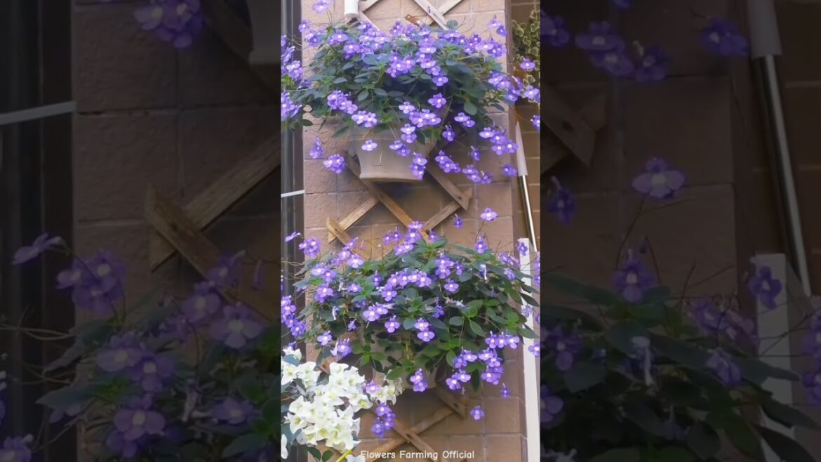 Diy Home Garden Vibes You'll Love 🌼🪴#homedecor​ #gardening​ #gardenplants​ #asmr​ #oasis​ #diy