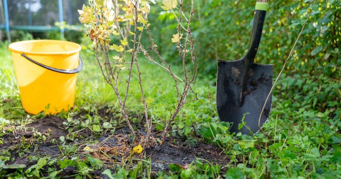 Gloucestershire Live