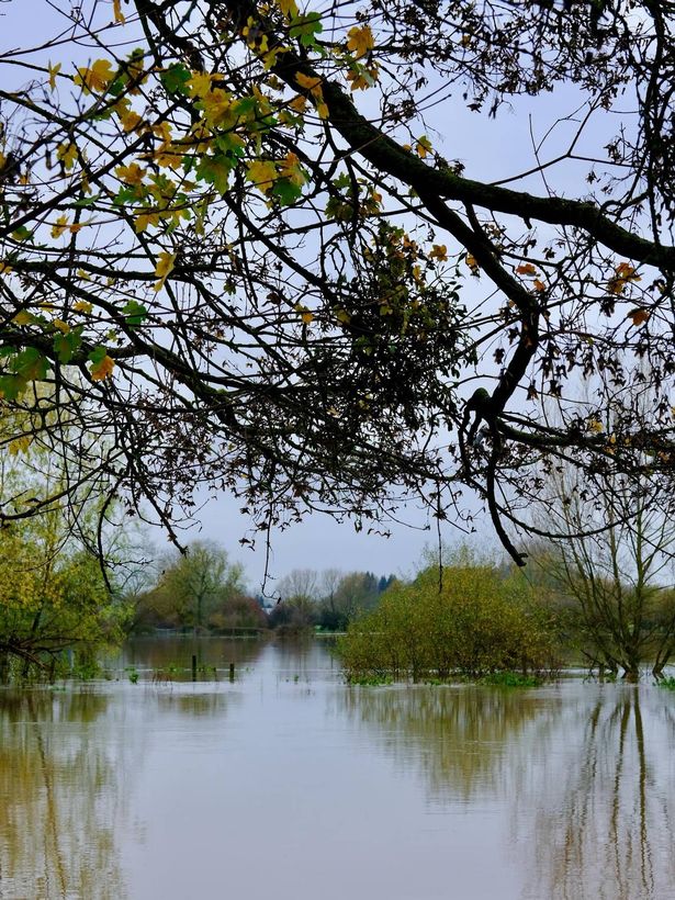 Monty Don suffers flooding

