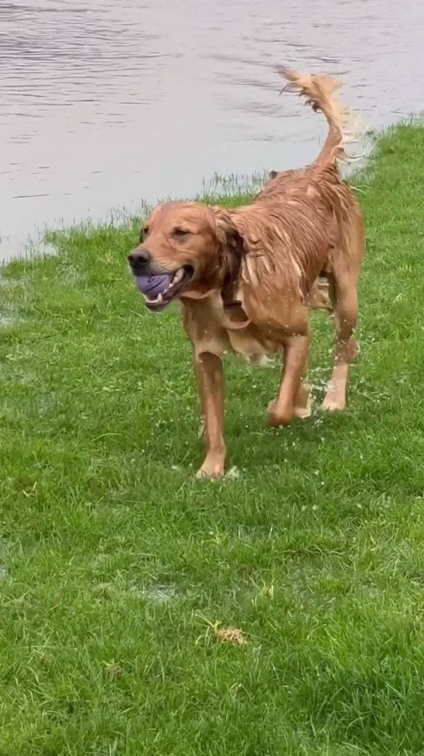 Monty Don suffers flooding
