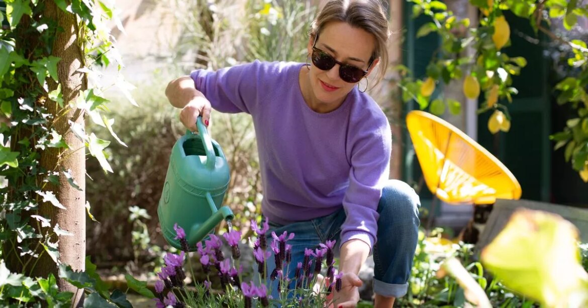 Forget ‘dull’ gardens and enjoy colour all year round with ‘winter-proof’ plants Devon Live