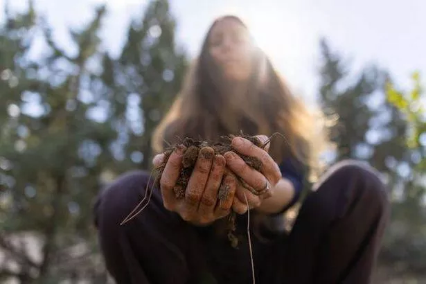 Woman's hands holding fertile soil