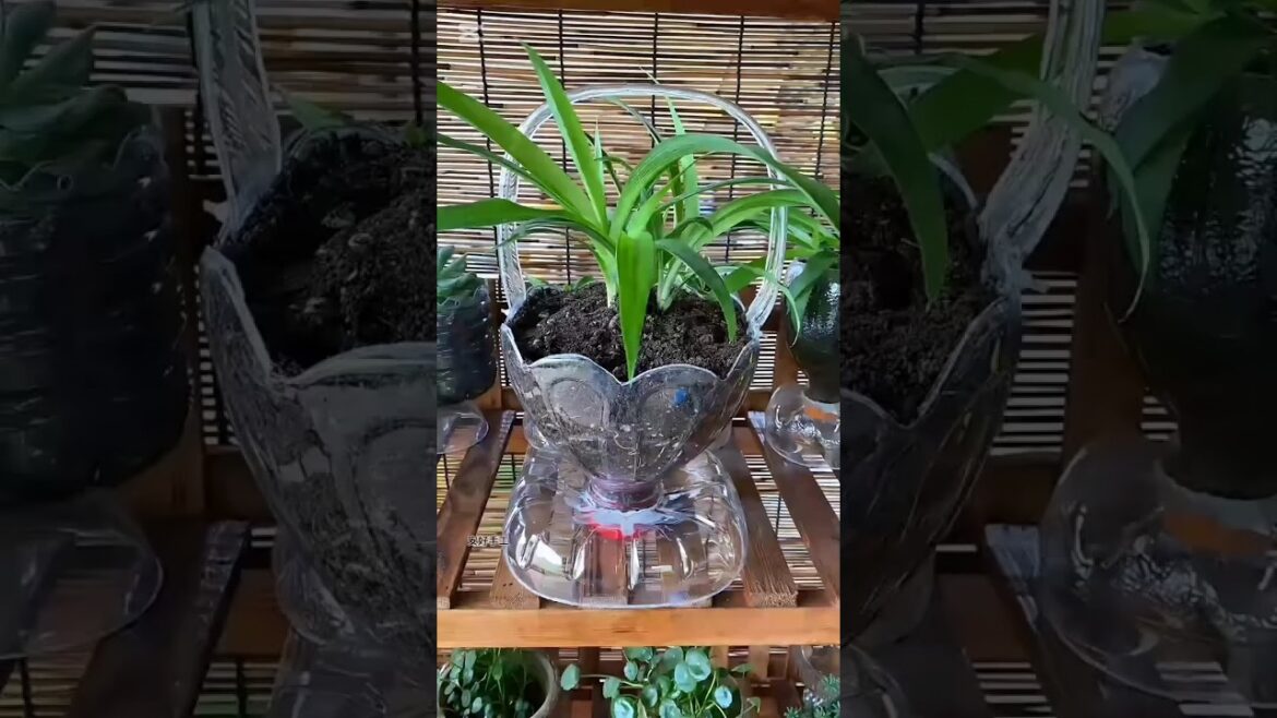 beautiful container gardening for home garden