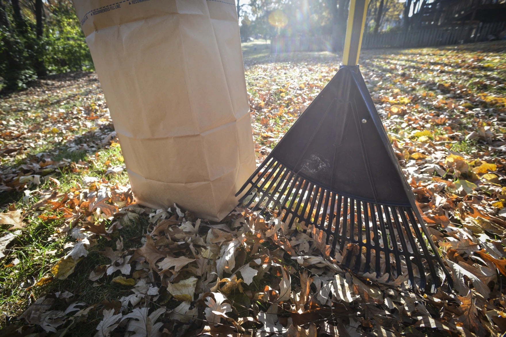A rake and a large paper yard waste bag stand on a lawn covered with fallen autumn leaves in sunlight.