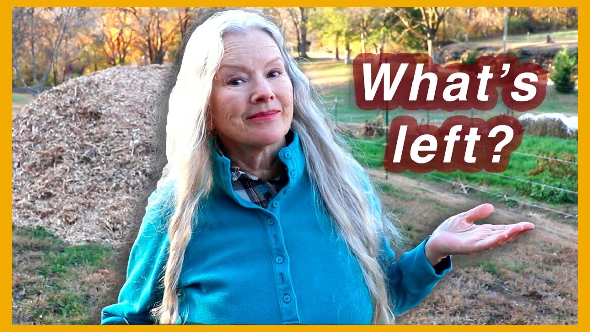 COMPLETE AFTER FREEZE GARDENS TOUR + planting garlic in raised bed!