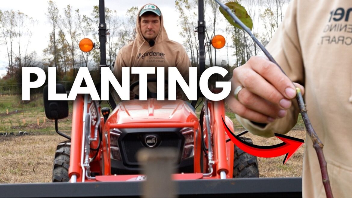 How We Make Straight Rows in Our 40 Acre Orchard