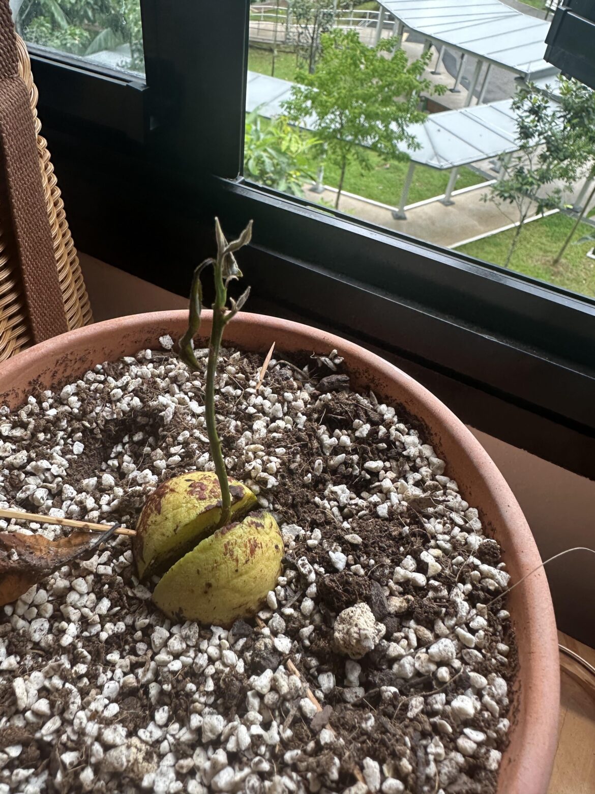 Anyone has any Idea?