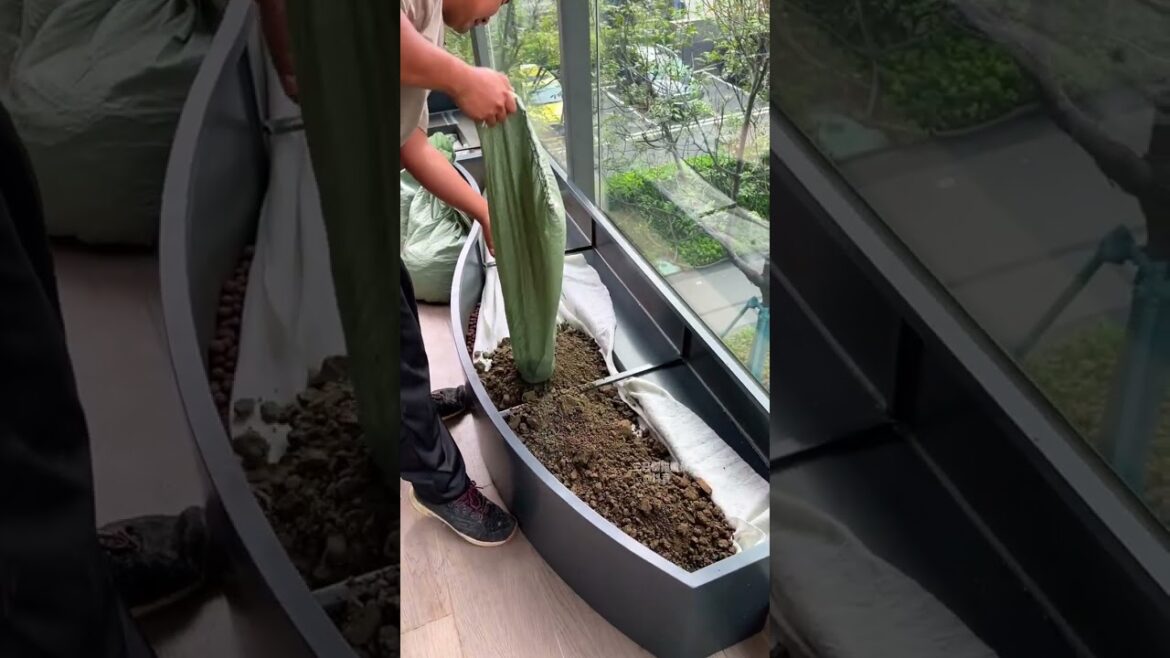 Experience of building a garden on the balcony at home
