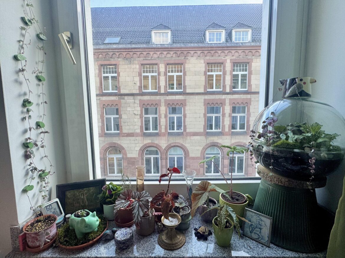 My happy place 🥰 show me urs!