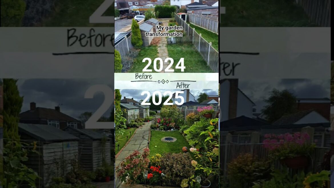 My Garden Makeover: From Neglected Mess to Oasis in 1 Year!Bare Yard to Paradise #Garden beforeafter My Garden Makeover: From Neglected Mess to Oasis in 1 Year!Bare Yard to Paradise #Garden beforeafter