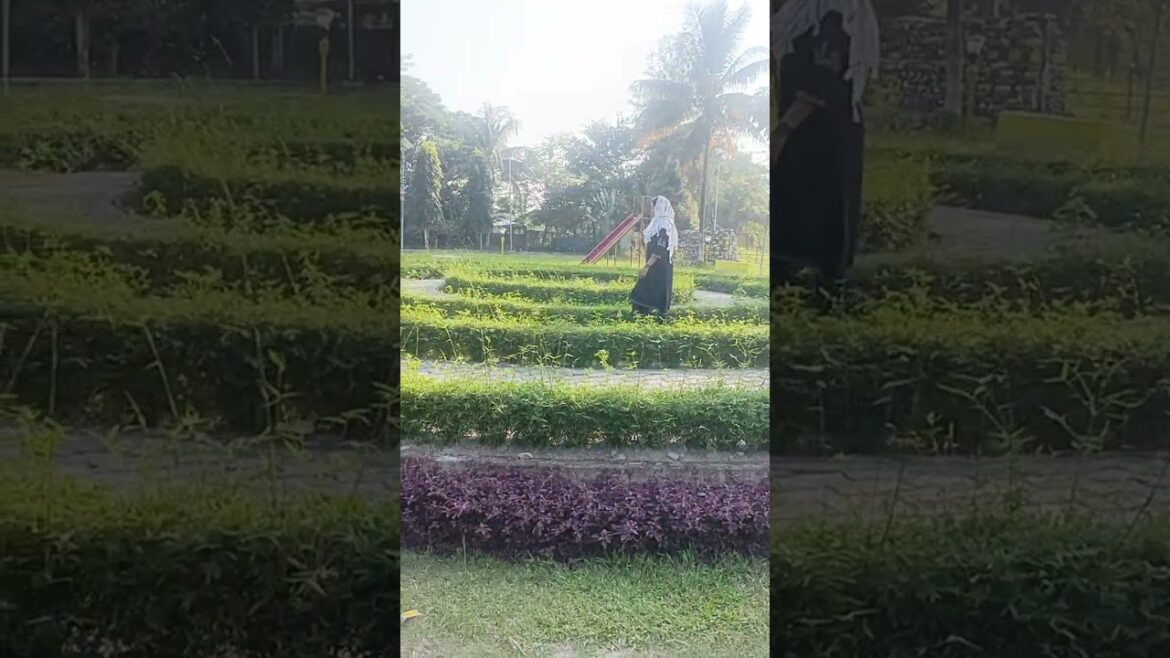 #gardening #garden #post #ytshorts #hype #youtubeshorts #shortvideo #trendingshorts #minivlog