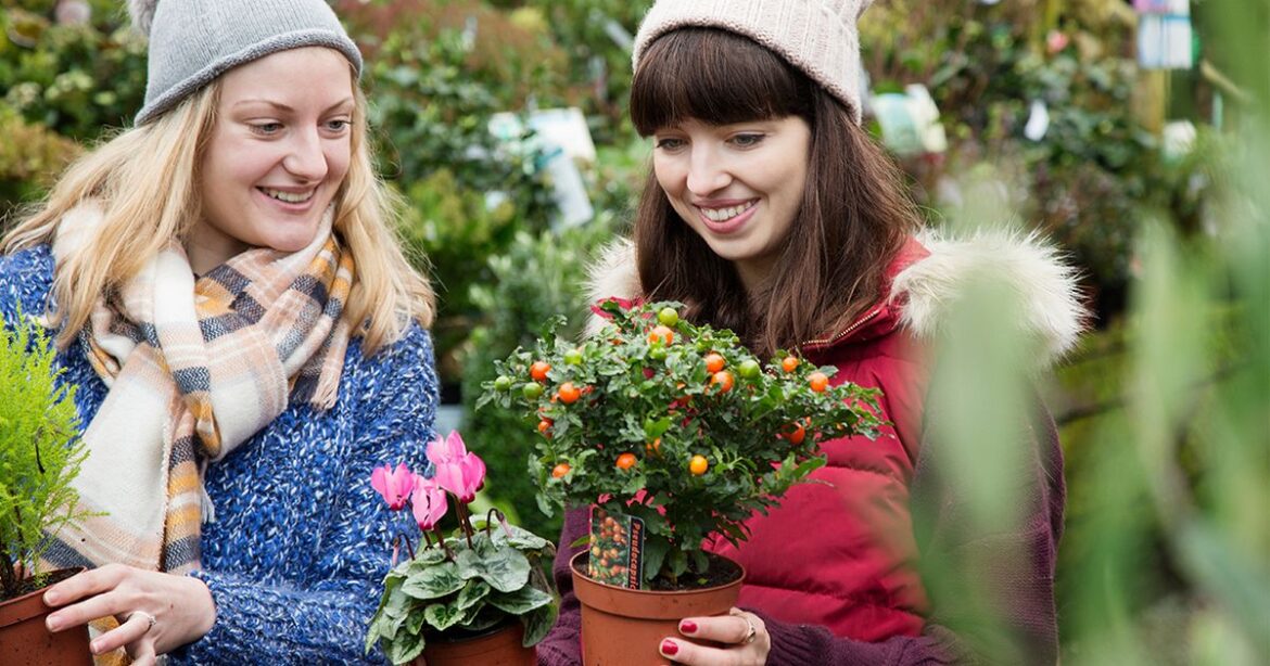 Nottinghamshire Live