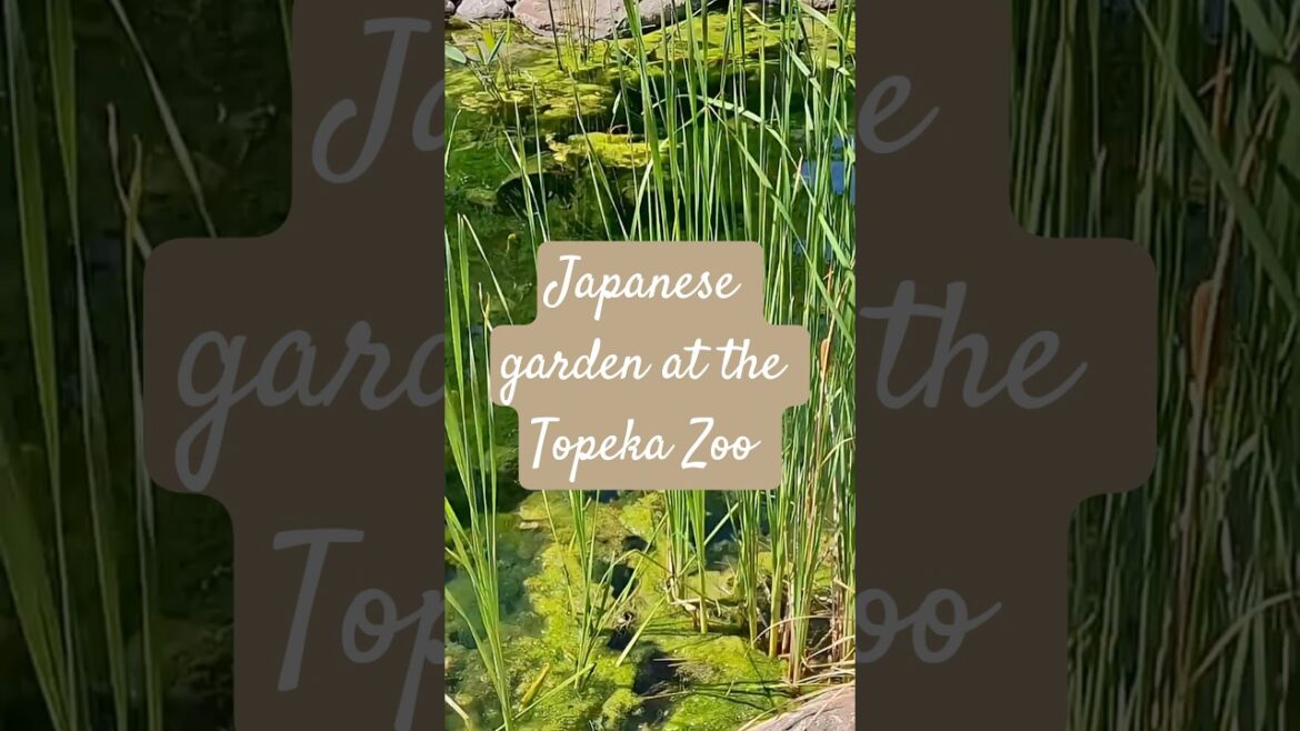 Audio: #blue by #youngkai Japanese Garden at the Topeka Zoo in Topeka, Kansas.