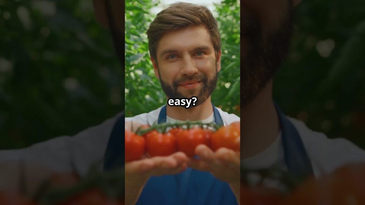 This Tomato Slice Trick Changes Everything! 🌱 #FoodIndependence