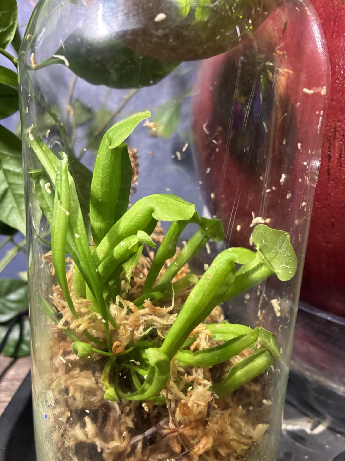 What is this?