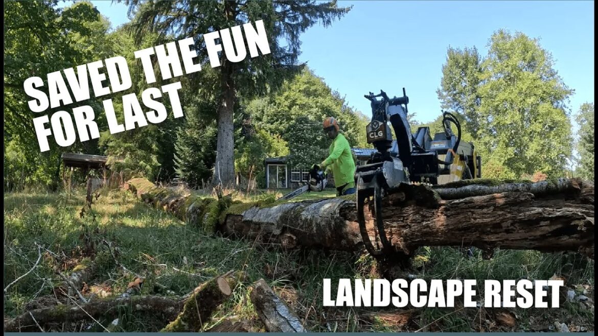 Front & Backyard Overhaul | Low-Maintenance PNW Landscape Makeover