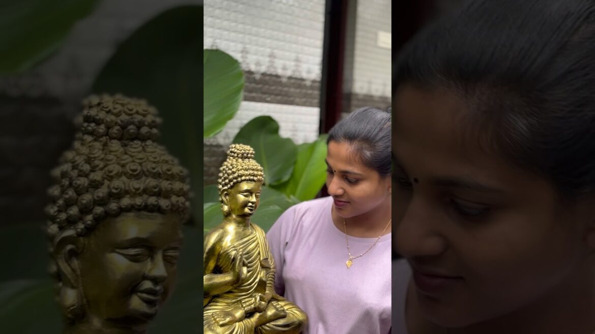 നമ്മുടെ ഗാർഡനിലെ പുതിയ ആള് എങ്ങനെ ഉണ്ട്? 🥰🧘#youtubeshorts #video #garden #budha