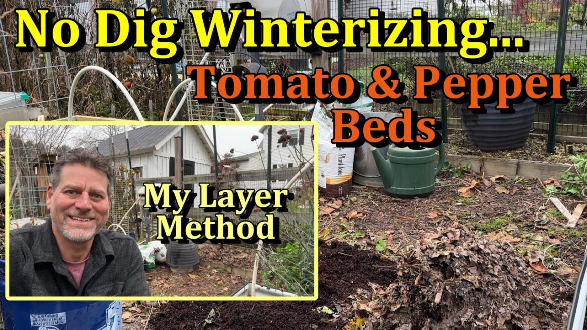 Winterize Your Tomato & Pepper Garden Beds Now (The Secret to Amazing Spring Soil & Harvests)