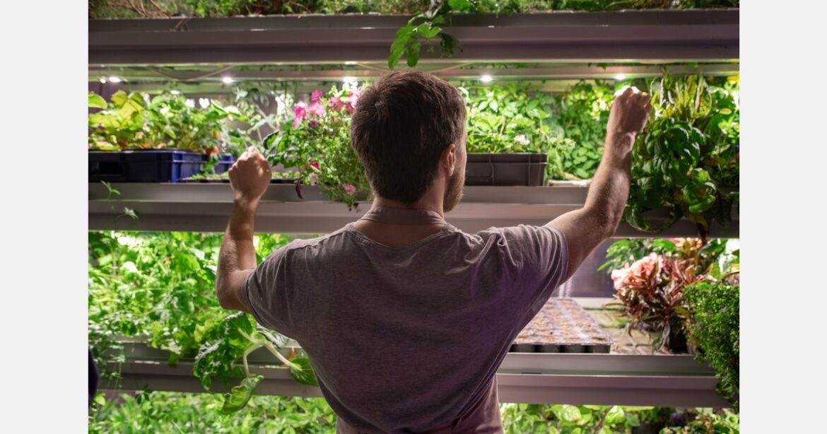 Grants open for school hydroponic gardens Grants open for school hydroponic gardens