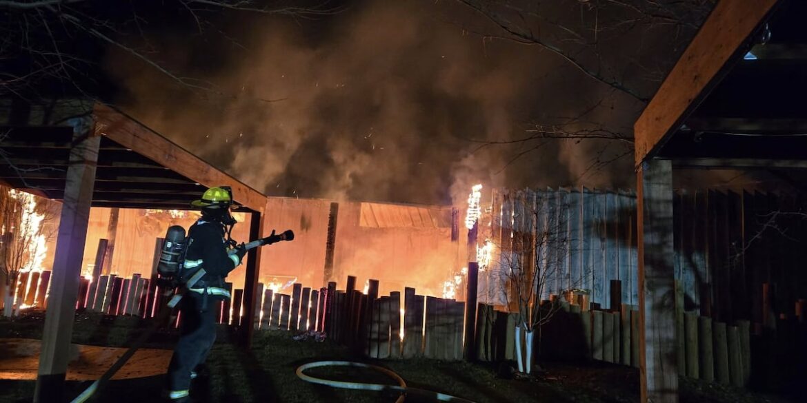 Multiple reptiles dead after structure fire at Reptile Gardens