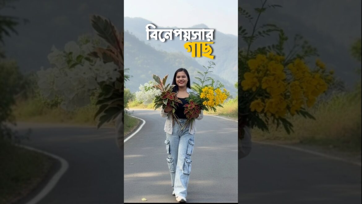 বিনেপয়সায় এত গাছ পেলাম? 😰🌱 #shorts #lifestyle #bengali #minivlog #gardening