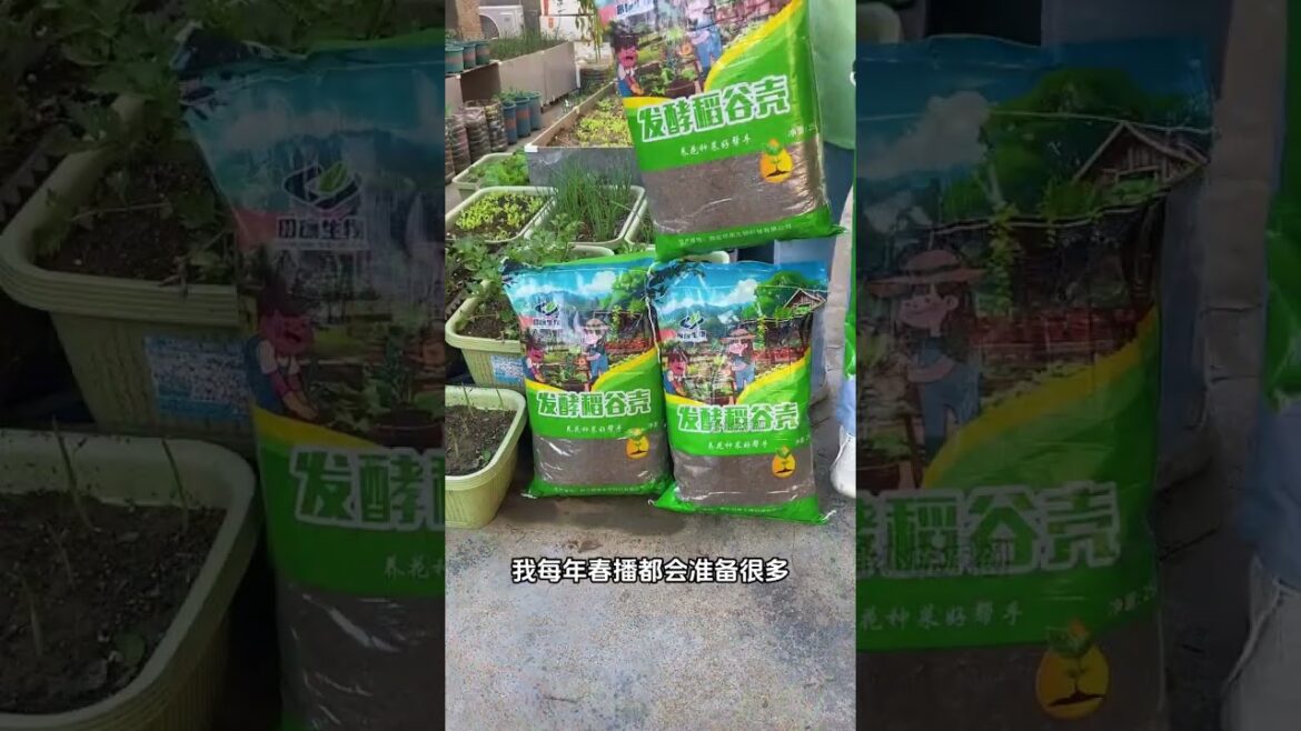 Fermented rice husks can improve soil compaction, making them especially suitable#gardenlife