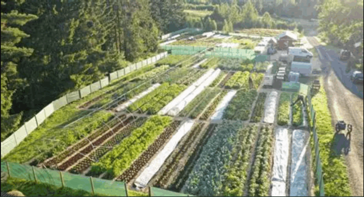 Grow a Garden Launches Player-Driven Farmers Market Trading Hub