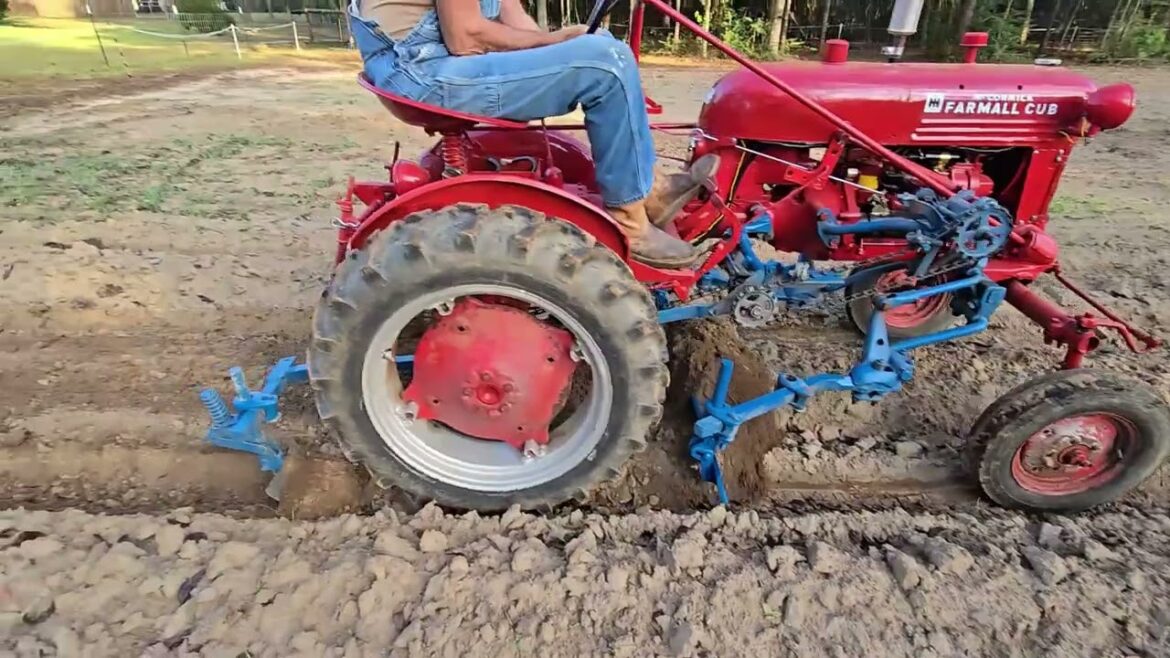Plans Change Daily!  Planting Cauliflower, Broccoli, and Onions