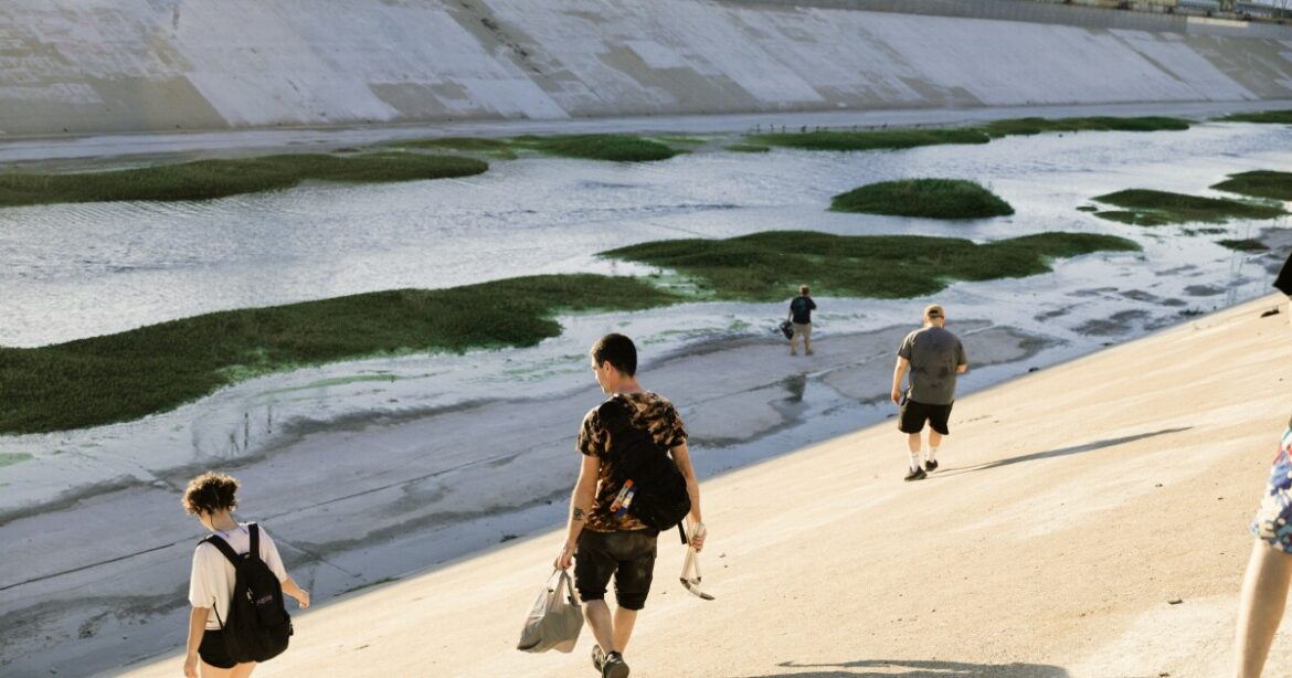 A guerrilla gardener installed a pop-up wetland in the LA River. Here's how — and why