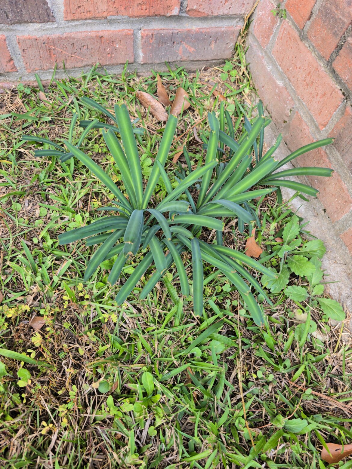 What is this?