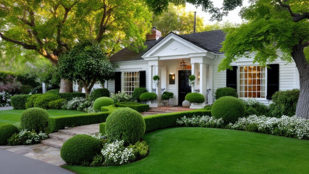 Luxury Curb Appeal Hacks | Make Your Front Yard Stand Out Instantly