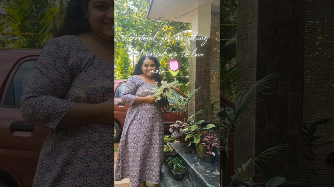 പൊതുവെ ഒരു ചെടി ഒരിടത്തു തന്നെ അധികനാൾ നില്ക്കാറില്ല🫣#gardendesign#gardening#home #shortsfeed#fypシ