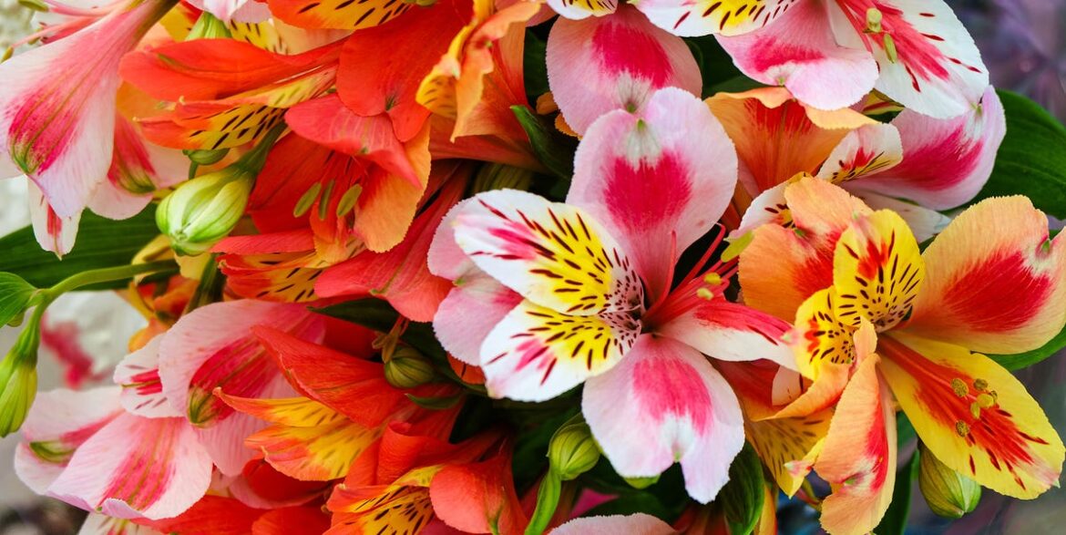 These Mood-Boosting Flowers Will Make You (And Your Home) Happier