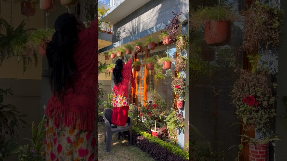 November garden work #nov#garden #plants #gardening #youtubeshorts #shorts #homegarden