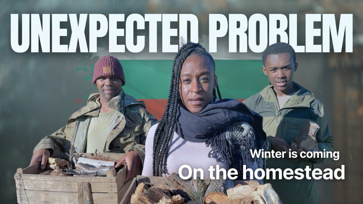 We found a big problem on the homestead… and winter is near | Family start over in Bulgaria We found a big problem on the homestead… and winter is near | Family start over in Bulgaria