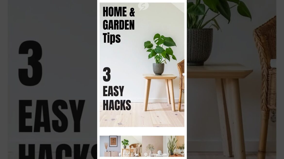 HOME & GARDEN Tips: 3 EASY HACKS 🌱 #shorts