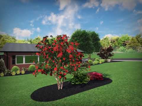 OPTION 2 Newton, NC 3D Landscape Reveal: A Lush, Colorful Front Yard Designed for Legacy Living OPTION 2 Newton, NC 3D Landscape Reveal: A Lush, Colorful Front Yard Designed for Legacy Living